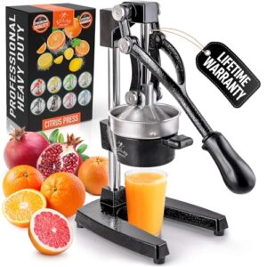 Citrus Press Juicer