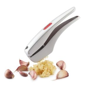 garlic press with cleaner
